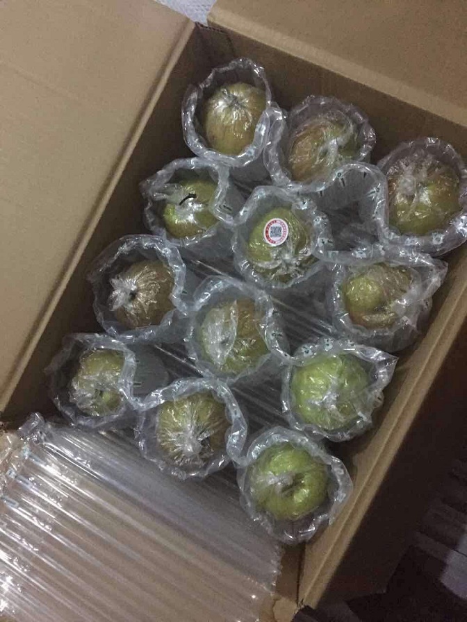 Inflatable Air Column Packaging Bags for Protecting Apples, Pears, and Dragon Fruits