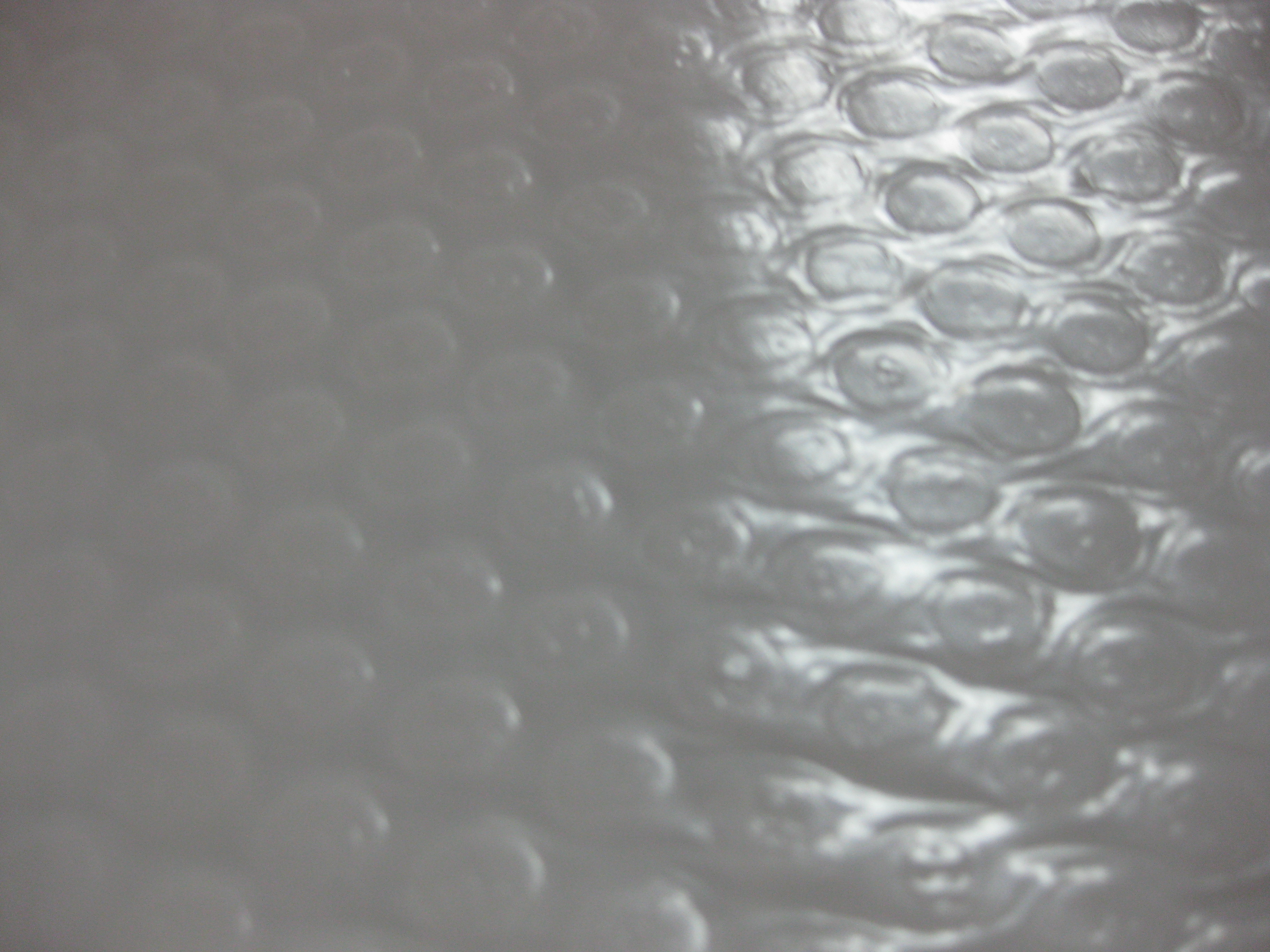 Single side ALuninum foil bubble with Pe white insulation